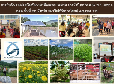 โครงการสัมมนา ... พารามิเตอร์รูปภาพ 7