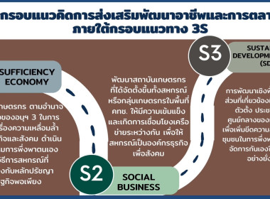 โครงการสัมมนา ... พารามิเตอร์รูปภาพ 5