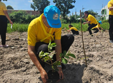 โครงการ “สหกรณ์อาสาทำความดีด้วยหัวใจ สนองพระราชปณิธาน ... พารามิเตอร์รูปภาพ 19