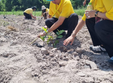 โครงการ “สหกรณ์อาสาทำความดีด้วยหัวใจ สนองพระราชปณิธาน ... พารามิเตอร์รูปภาพ 20