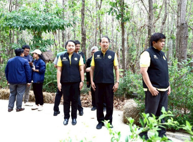 ผอ. กพน. ลงพื้นที่ณ ป่าสงวนแห่งชาติป่าดงเซกา แปลงที่ 2 ... พารามิเตอร์รูปภาพ 14