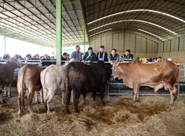 ลงพื้นที่สหกรณ์นิคมแม่สอด จำกัด ... พารามิเตอร์รูปภาพ 11