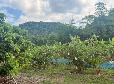 ผู้อำนวยการกองฯ ได้ลงพื้นที่ติดตามและประเมินผลการดำเนินงาน ... พารามิเตอร์รูปภาพ 24