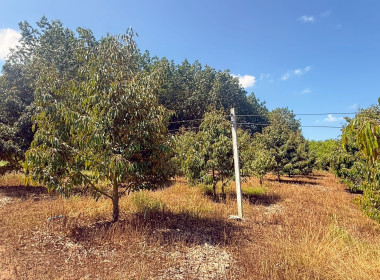 ผู้อำนวยการกองฯ ได้ลงพื้นที่ติดตามและประเมินผลการดำเนินงาน ... พารามิเตอร์รูปภาพ 7