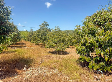 ผู้อำนวยการกองฯ ได้ลงพื้นที่ติดตามและประเมินผลการดำเนินงาน ... พารามิเตอร์รูปภาพ 8