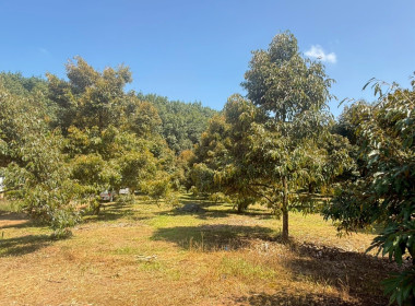 ผู้อำนวยการกองฯ ได้ลงพื้นที่ติดตามและประเมินผลการดำเนินงาน ... พารามิเตอร์รูปภาพ 9