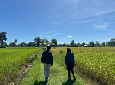 กลุ่มวิเคราะห์เงินทุนอื่น ... พารามิเตอร์รูปภาพ 4