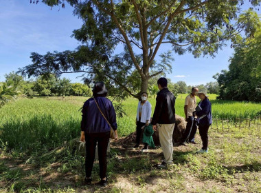 กลุ่มวิเคราะห์เงินทุนอื่น ... พารามิเตอร์รูปภาพ 5