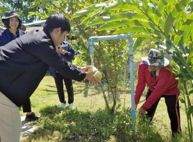 กลุ่มวิเคราะห์เงินทุนอื่น ... พารามิเตอร์รูปภาพ 6