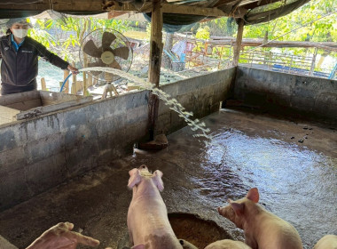 กลุ่มวิเคราะห์เงินทุนอื่น ... พารามิเตอร์รูปภาพ 7