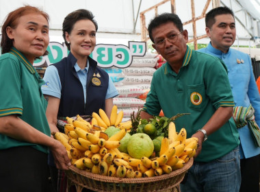 โครงการธงเขียวราคาประหยัด “ปุ๋ยถูก ยาดี ... พารามิเตอร์รูปภาพ 2