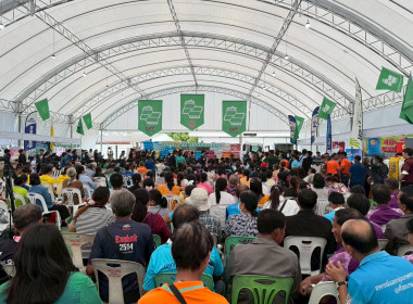 โครงการธงเขียวราคาประหยัด “ปุ๋ยถูก ยาดี ... พารามิเตอร์รูปภาพ 5