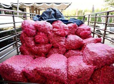 อธิบดีกรมส่งเสริมสหกรณ์ ... พารามิเตอร์รูปภาพ 17