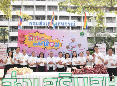 ผู้อำนวยการกองพัฒนาระบบสนับสนุนการสหกรณ์ ... พารามิเตอร์รูปภาพ 14