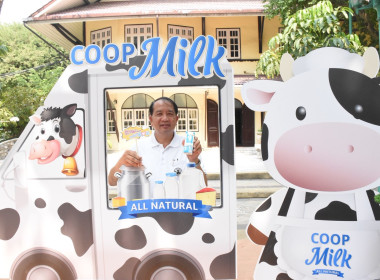 ผู้อำนวยการกองพัฒนาระบบสนับสนุนการสหกรณ์ ... พารามิเตอร์รูปภาพ 17