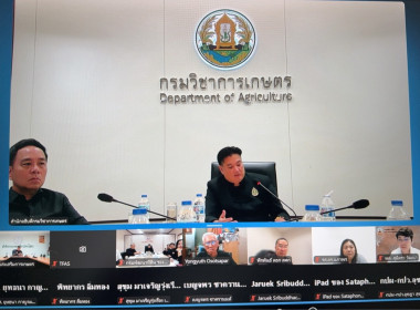 ผู้อำนวยการกองฯ ... พารามิเตอร์รูปภาพ 7