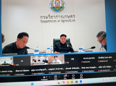 ผู้อำนวยการกองฯ ... พารามิเตอร์รูปภาพ 8