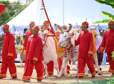 ผอ.กองฯ ร่วม งานพระราชพิธีพืชมงคลจรดพระนังคัลแรกนาขวัญ ... พารามิเตอร์รูปภาพ 41