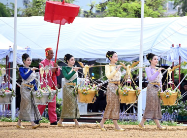 ผอ.กองฯ ร่วม งานพระราชพิธีพืชมงคลจรดพระนังคัลแรกนาขวัญ ... พารามิเตอร์รูปภาพ 43