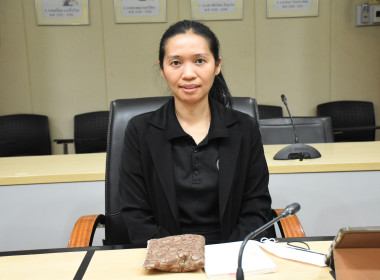 การประชุม ... พารามิเตอร์รูปภาพ 10