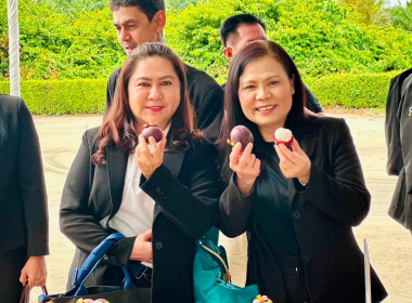 อธิบดีกรมส่งเสริมสหกรณ์ ลงพื้นที่จังหวัดสุราษฎร์ธานี ... พารามิเตอร์รูปภาพ 17